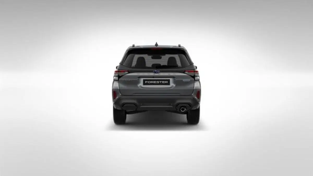 Subaru Forester nuova a Novara (4)