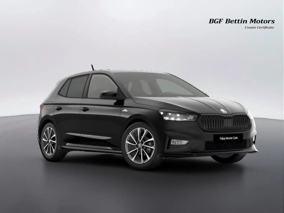 Skoda Fabia nuova a Padova