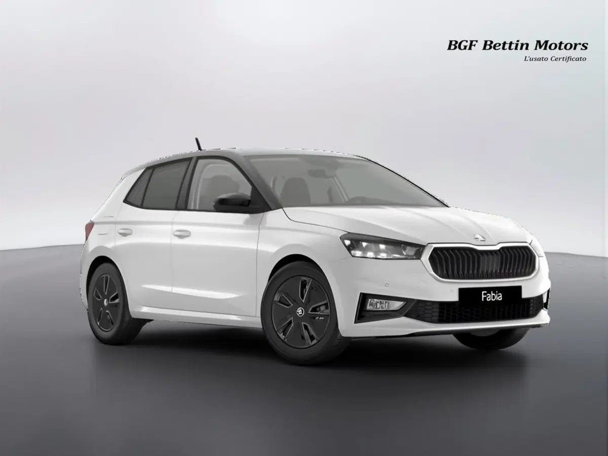 Skoda Fabia nuova a Padova