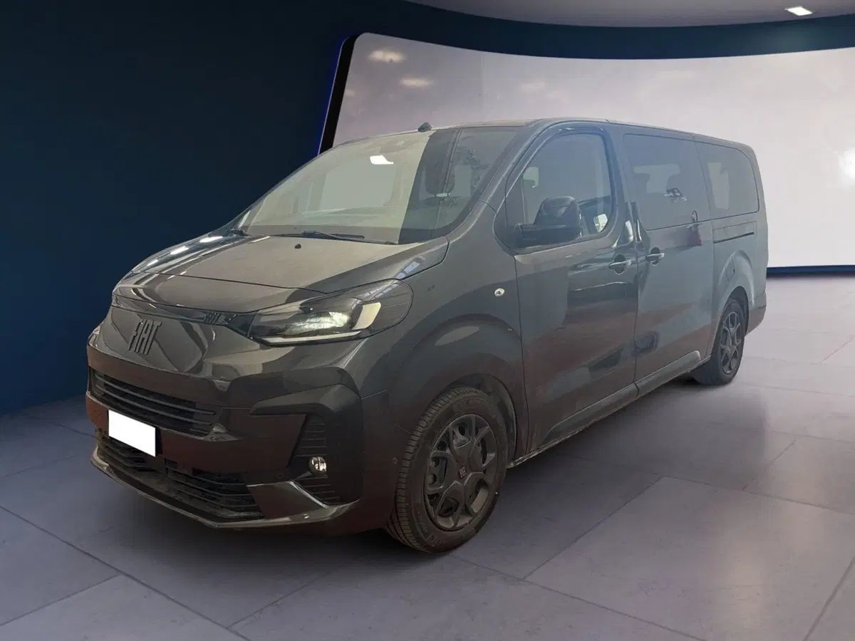 Fiat Ulysse usata a Torino (2)