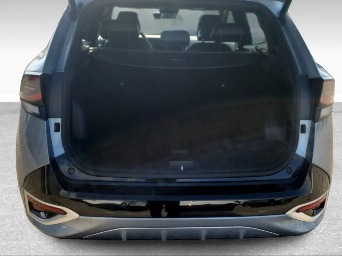 Kia Sportage usata a Pisa (6)