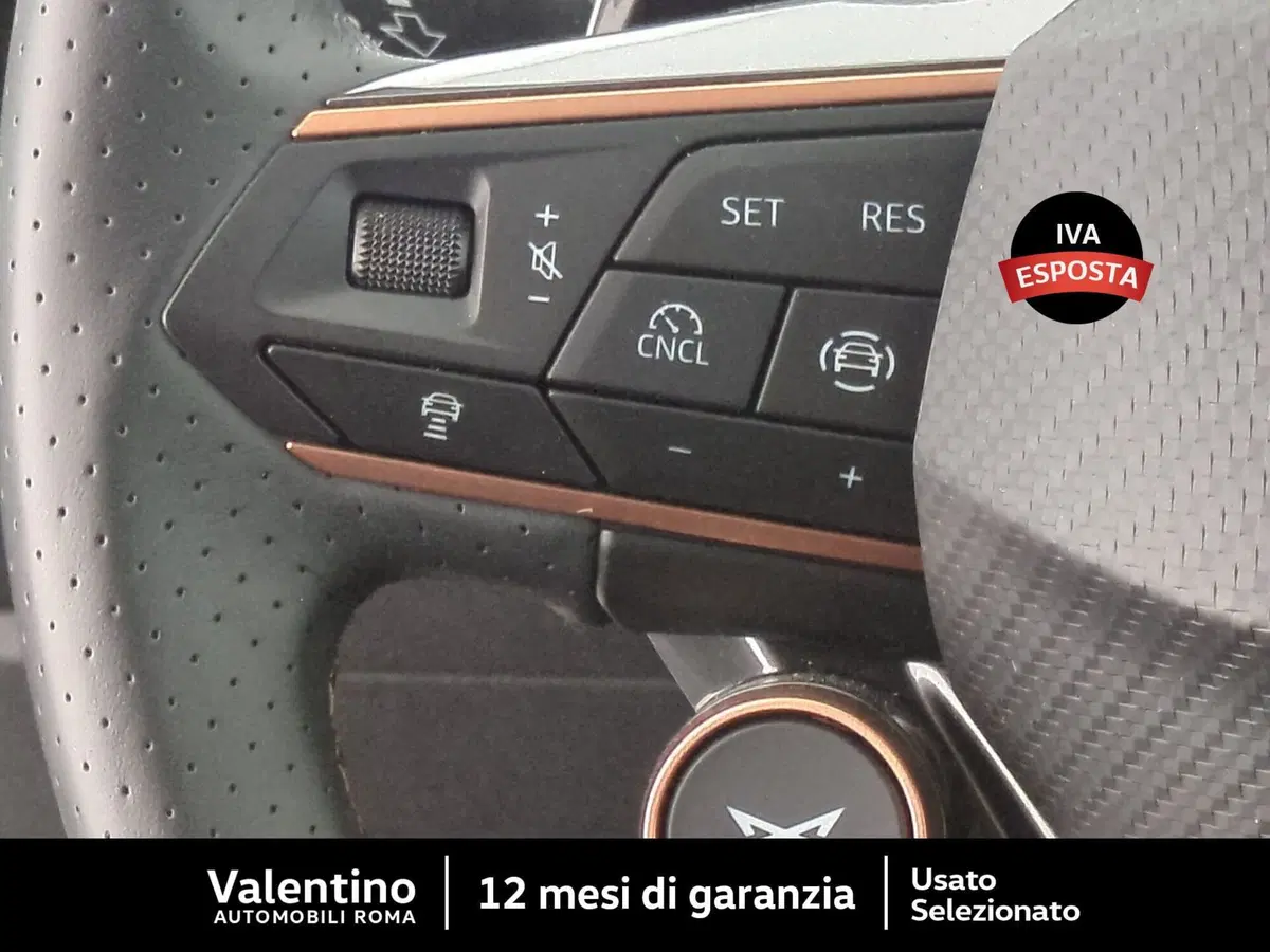 Cupra Formentor usata a Roma (15)