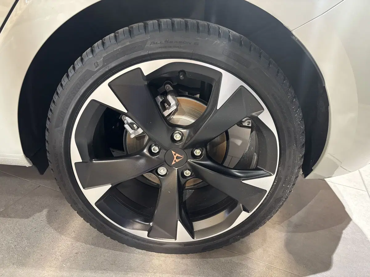 Cupra Leon nuova a Ferrara (7)