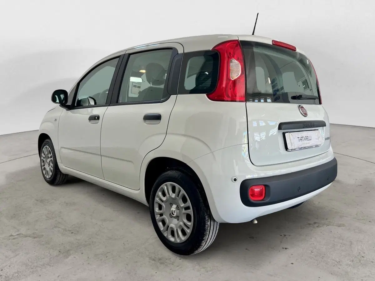 Fiat Panda Cross nuova a Bari (4)