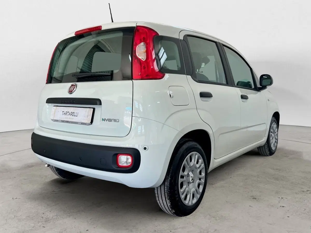 Fiat Panda Cross nuova a Bari (6)