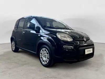 Fiat Panda Cross Cross 1.0 FireFly S&S Hybrid nuova a Monopoli