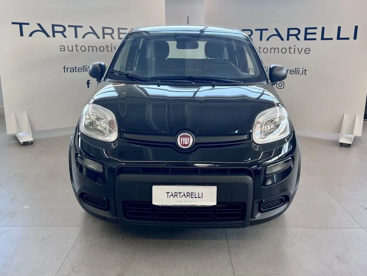 Fiat Panda Cross nuova a Bari (2)