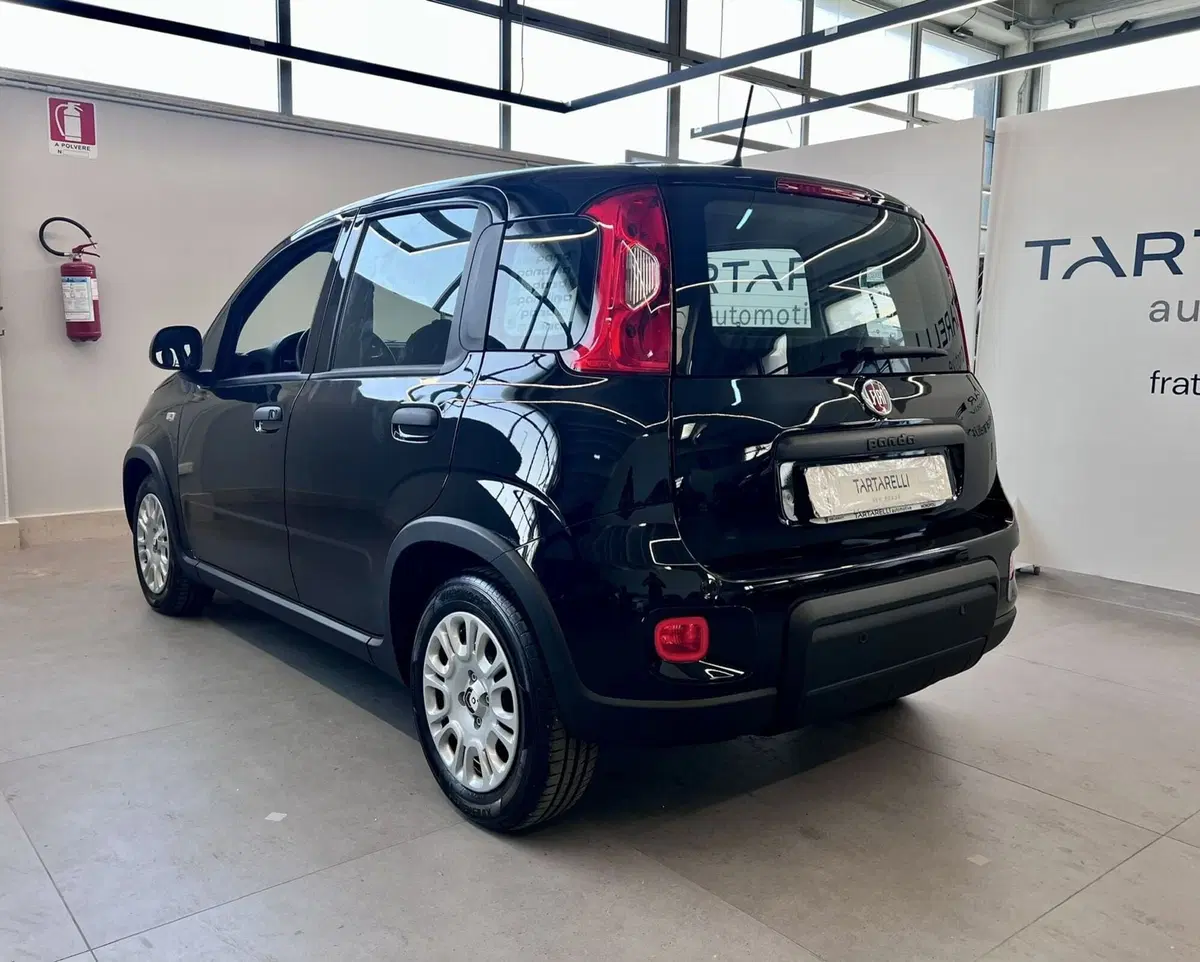Fiat Panda Cross nuova a Bari (5)