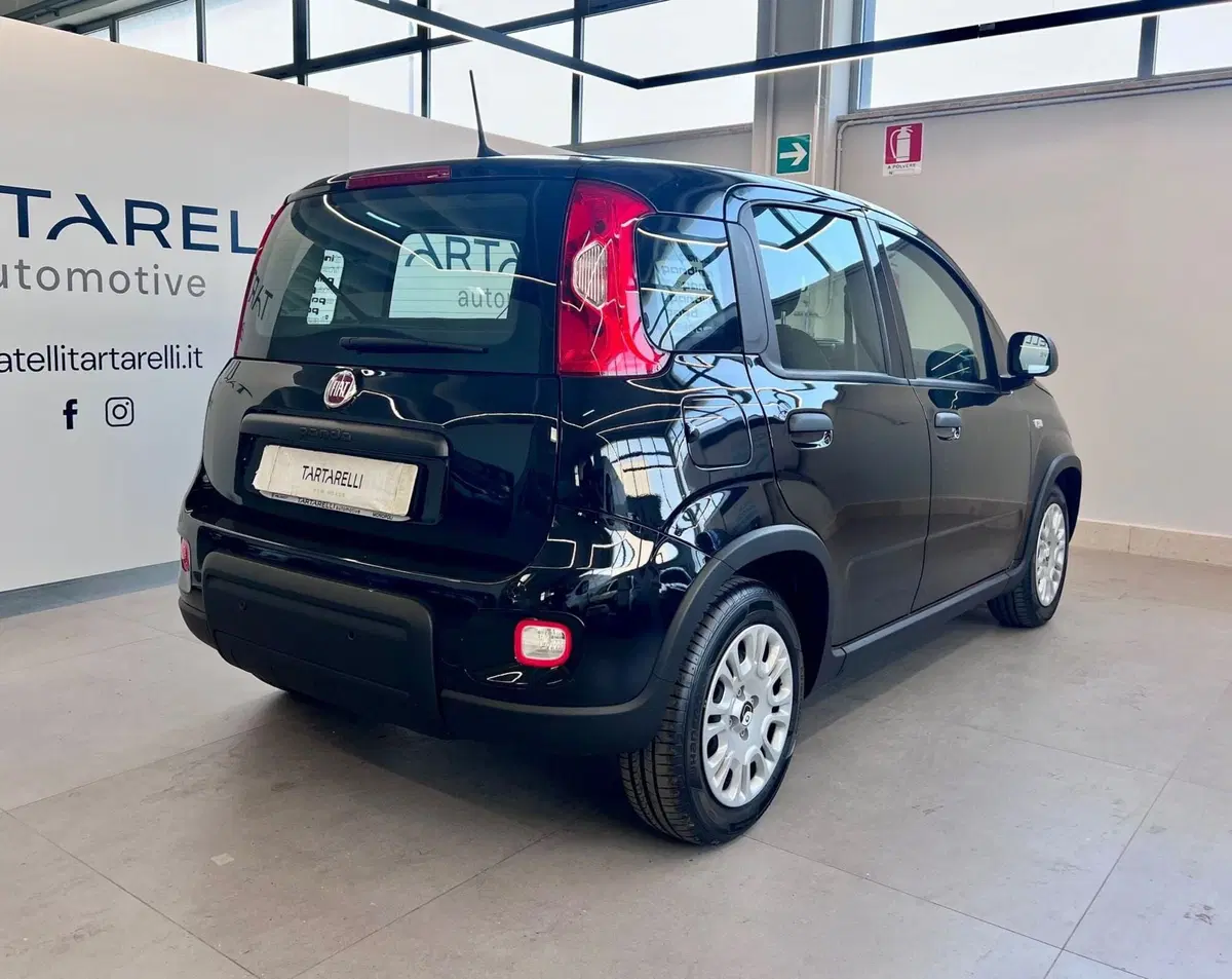 Fiat Panda Cross nuova a Bari (7)