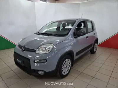 Fiat Panda 1.0 FireFly S&S Hybrid City Cross del 2022 usata a Terranuova Bracciolini