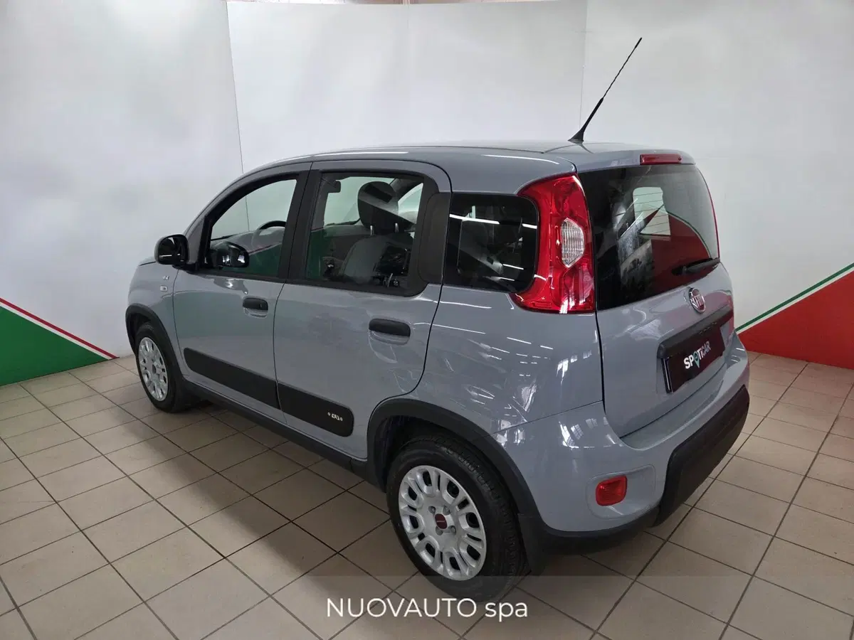 Fiat Panda usata a Arezzo (4)