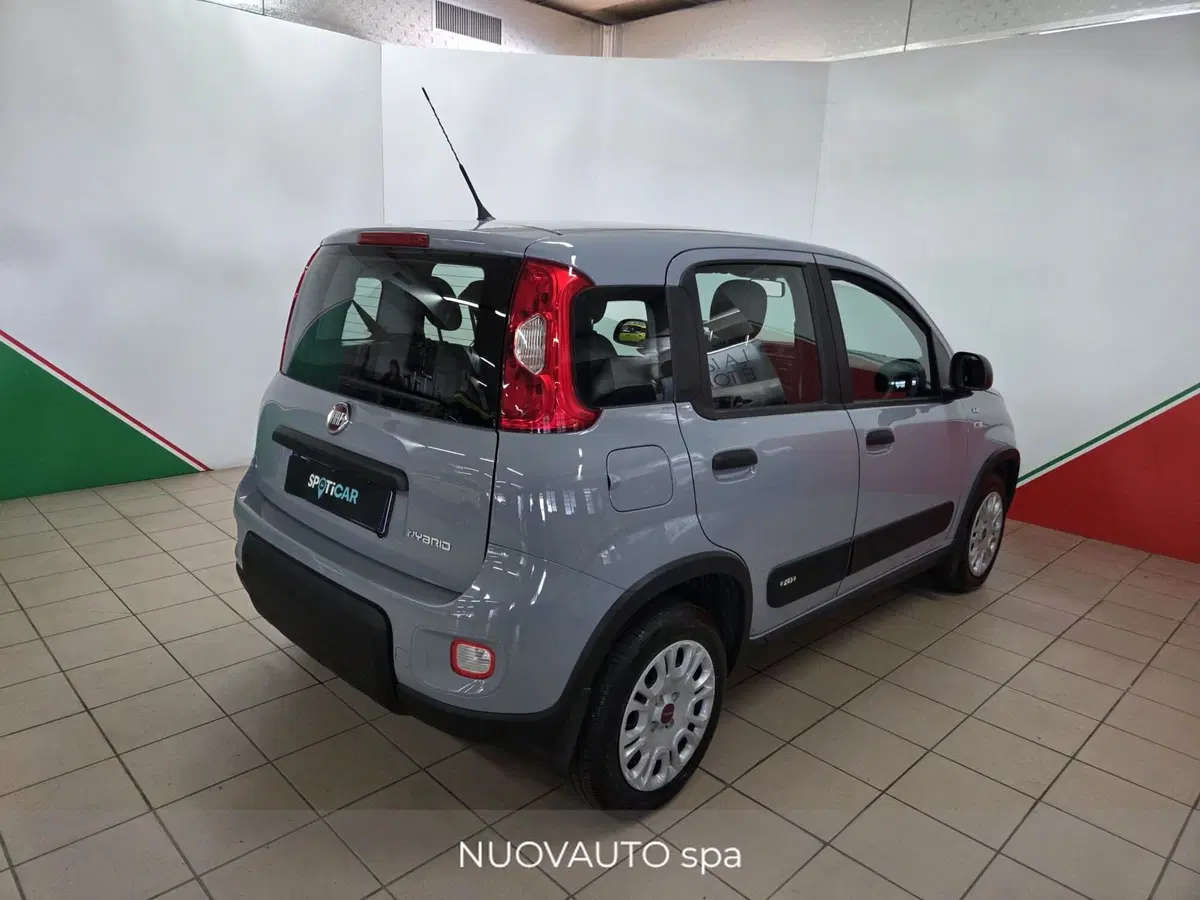 Fiat Panda usata a Arezzo (5)