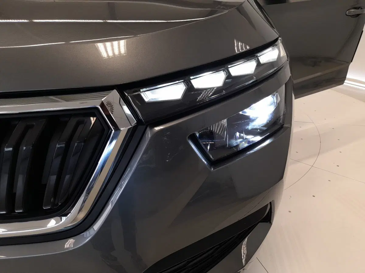 Skoda Kamiq usata a Bologna (8)