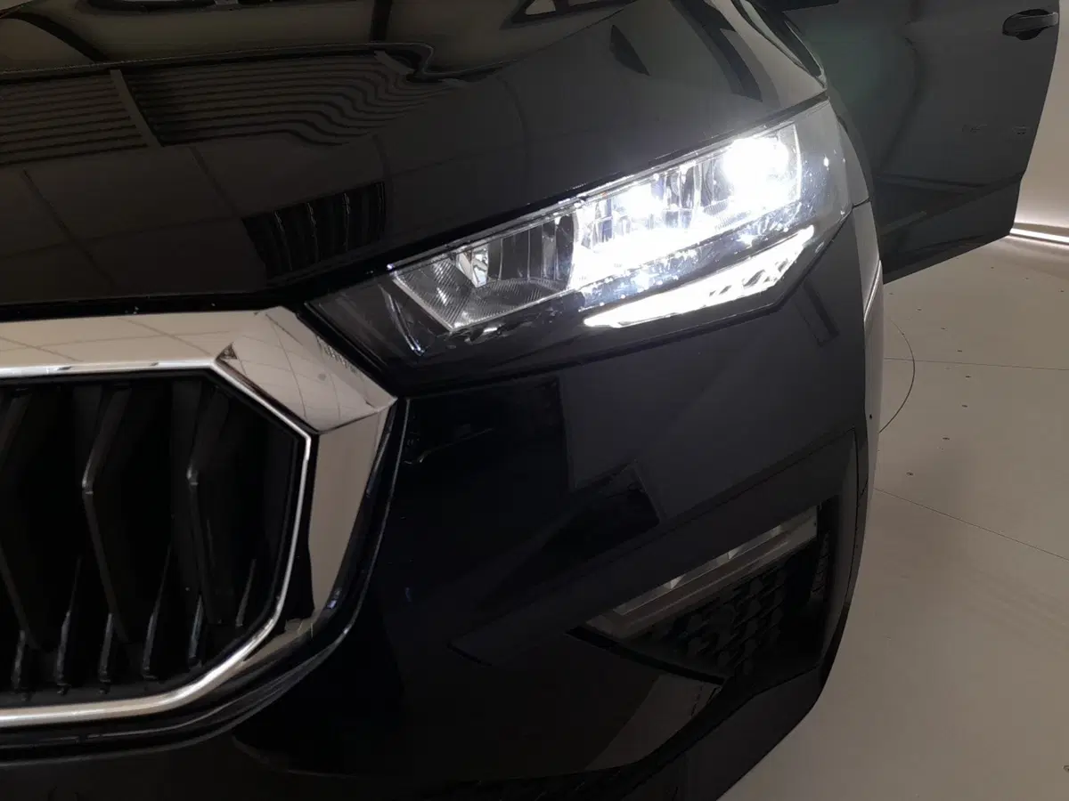 Skoda Scala usata a Bologna (8)