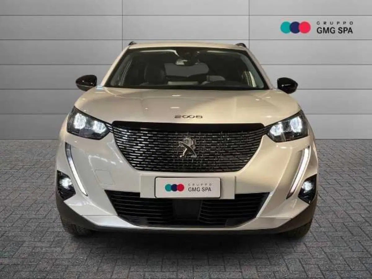Peugeot 2008 usata a Firenze (2)