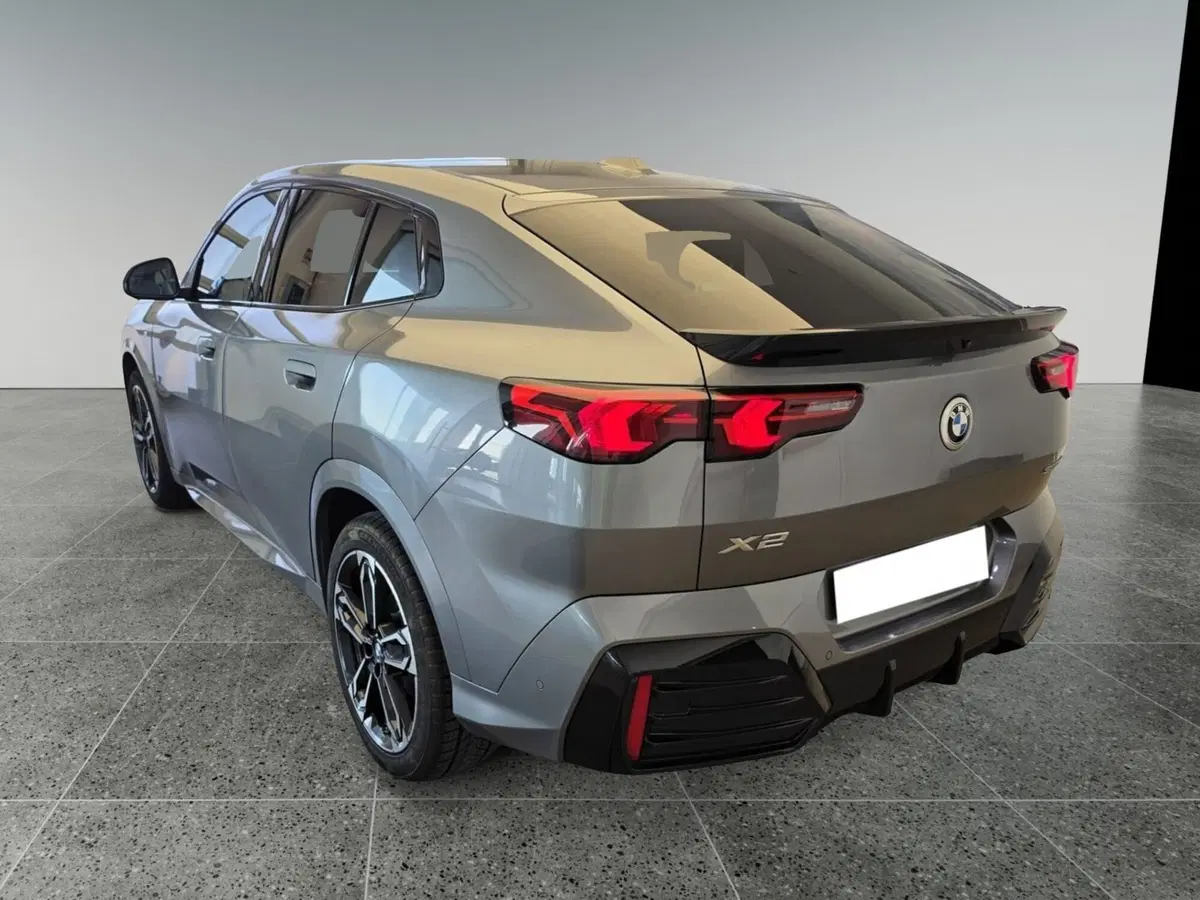 BMW X2 usata a Bari (15)