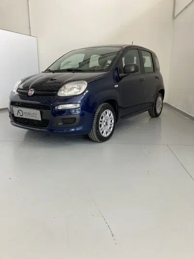 Fiat Panda 1.0 FireFly S&S Hybrid City Cross del 2021 usata a Barletta