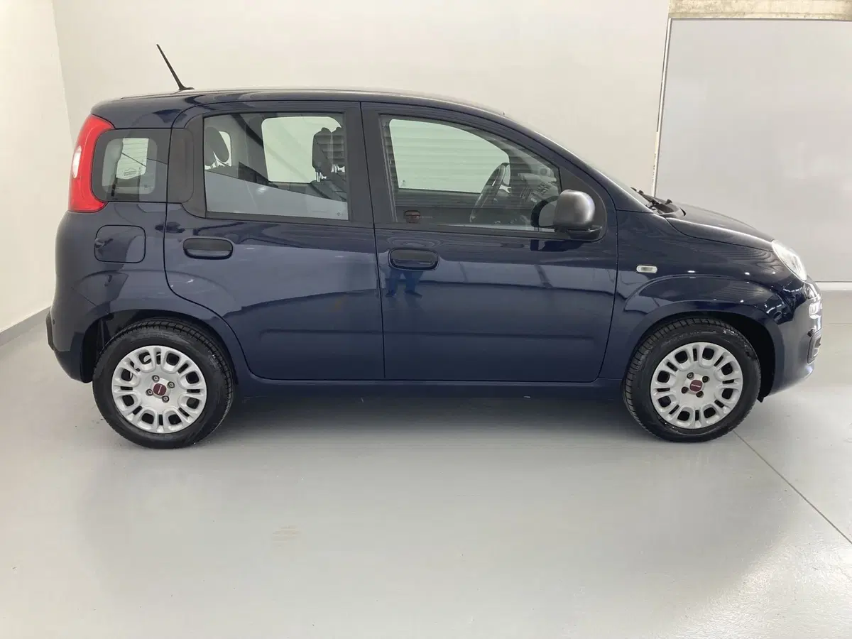 Fiat Panda usata a Barletta-Andria-Trani (3)
