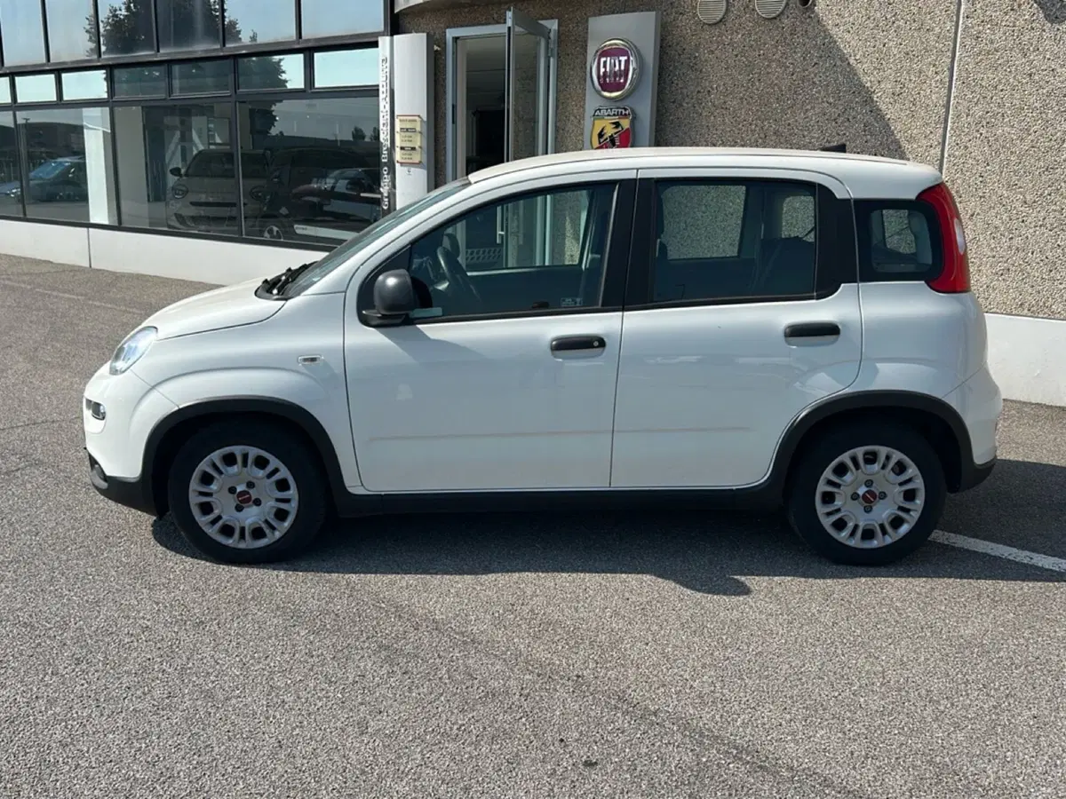 Fiat Panda usata a Bergamo (2)