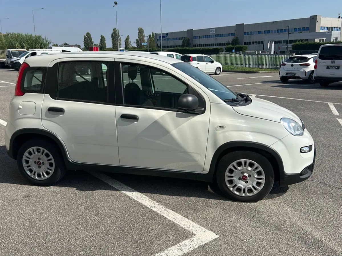 Fiat Panda usata a Bergamo (6)