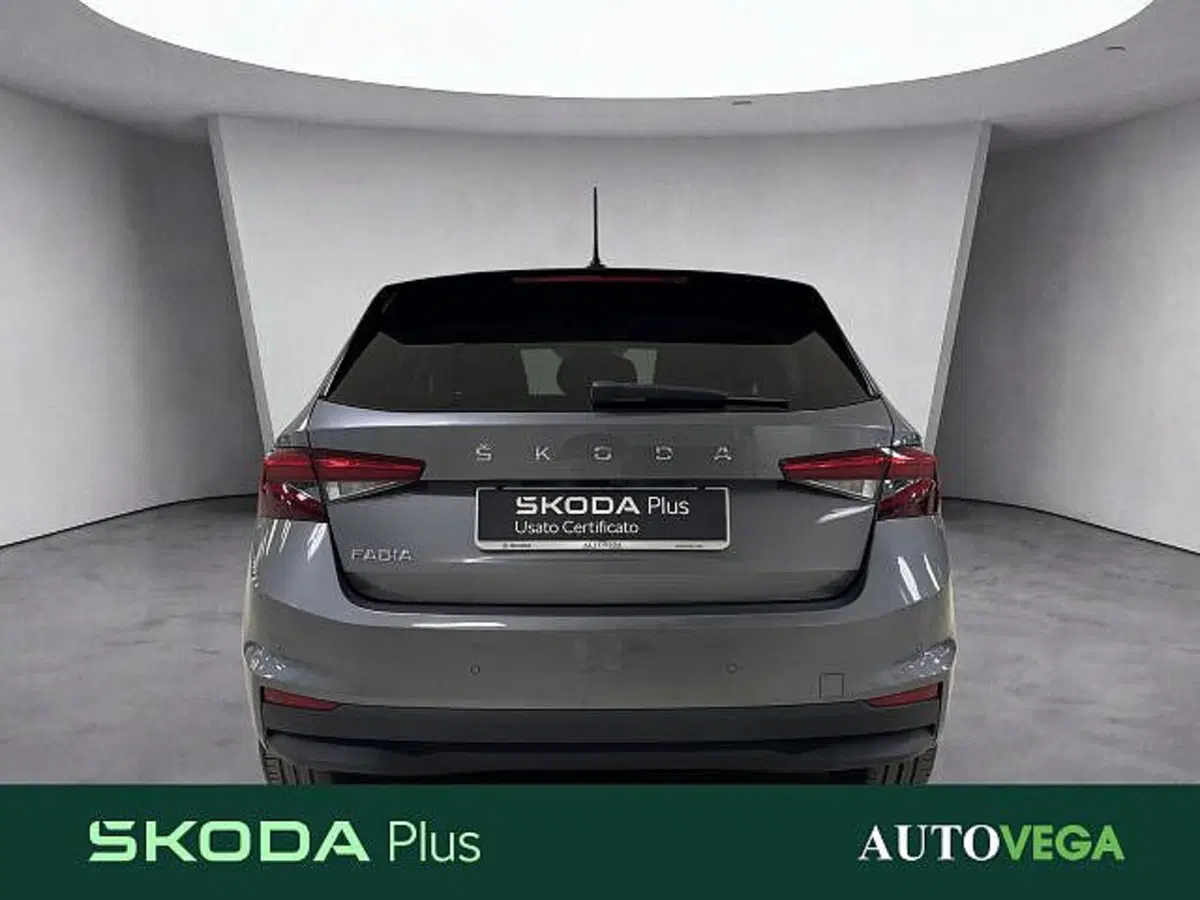 Skoda Fabia usata a Vicenza (5)