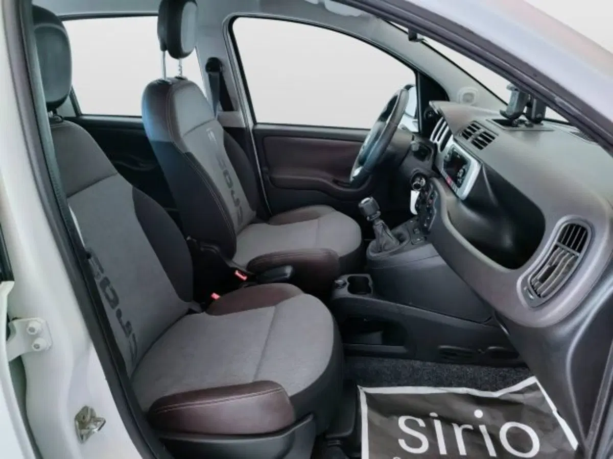 Fiat Panda usata a Teramo (11)