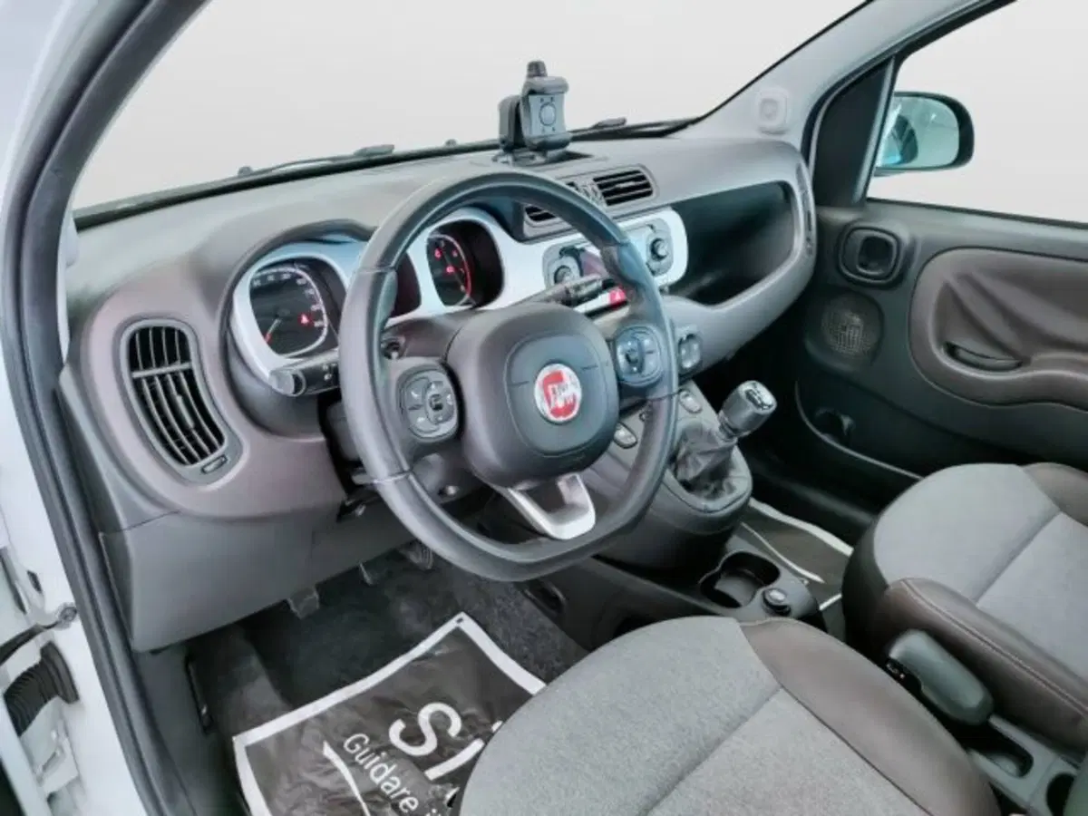Fiat Panda usata a Teramo (13)