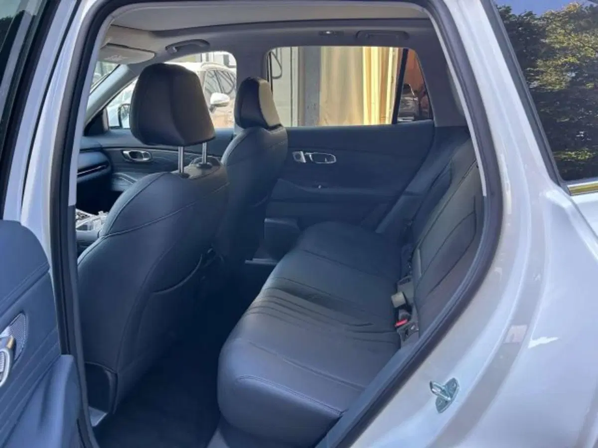 Geely Starray nuova a Firenze (14)