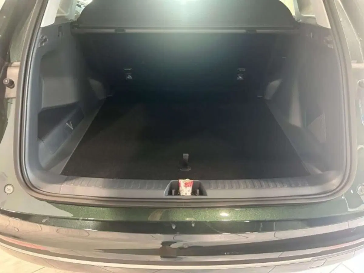 Geely Starray nuova a Firenze (6)