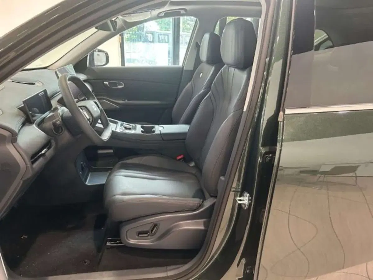 Geely Starray nuova a Firenze (13)