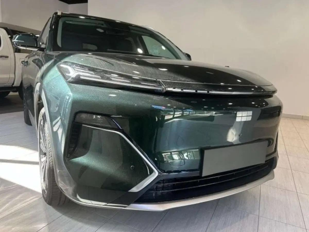 Geely Starray nuova a Firenze