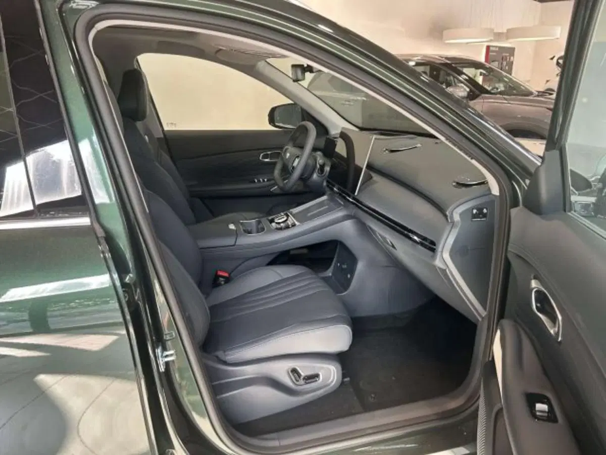 Geely Starray nuova a Firenze (15)