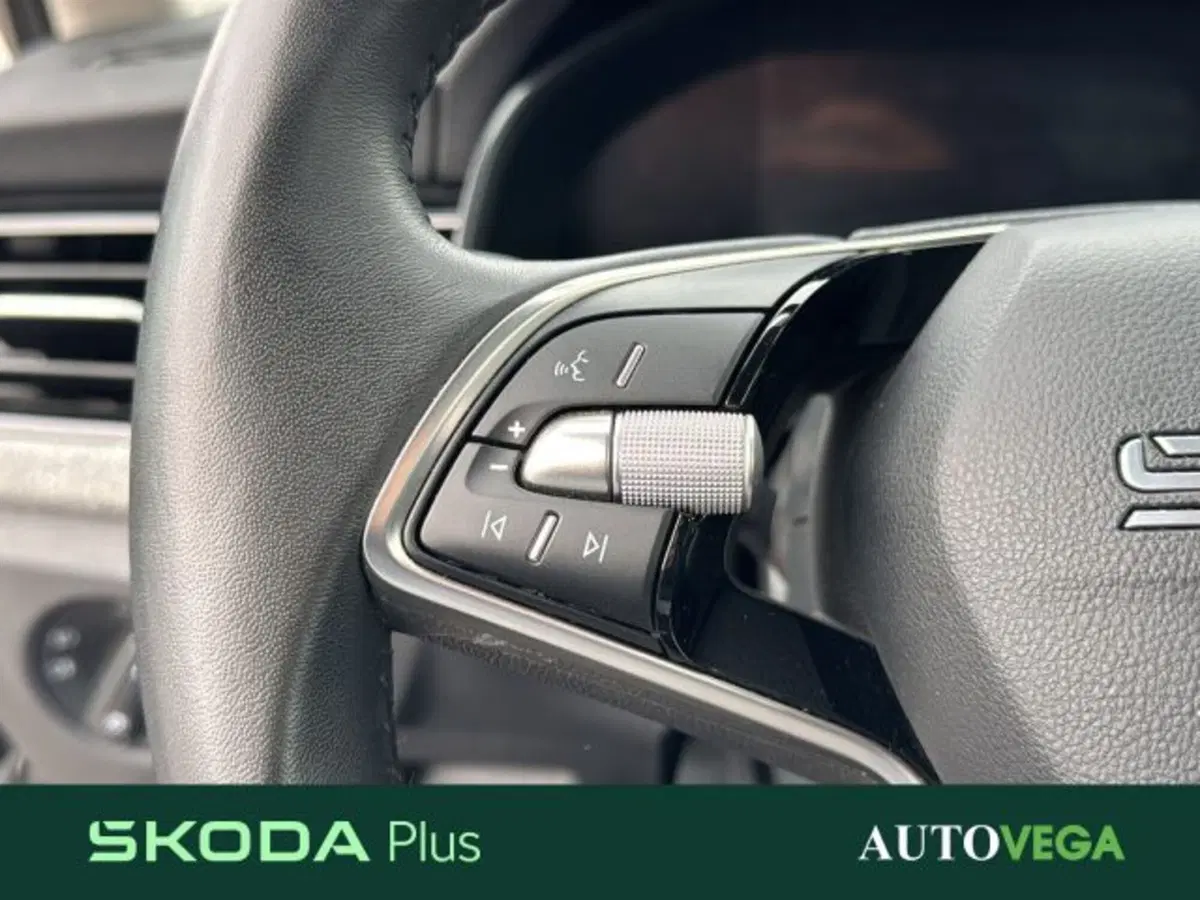 Skoda Kamiq usata a Vicenza (19)