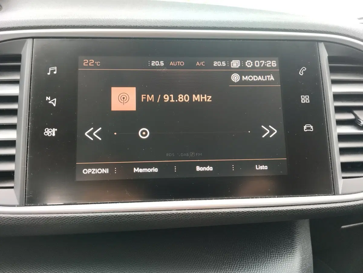Peugeot 308 SW usata a Asti (16)
