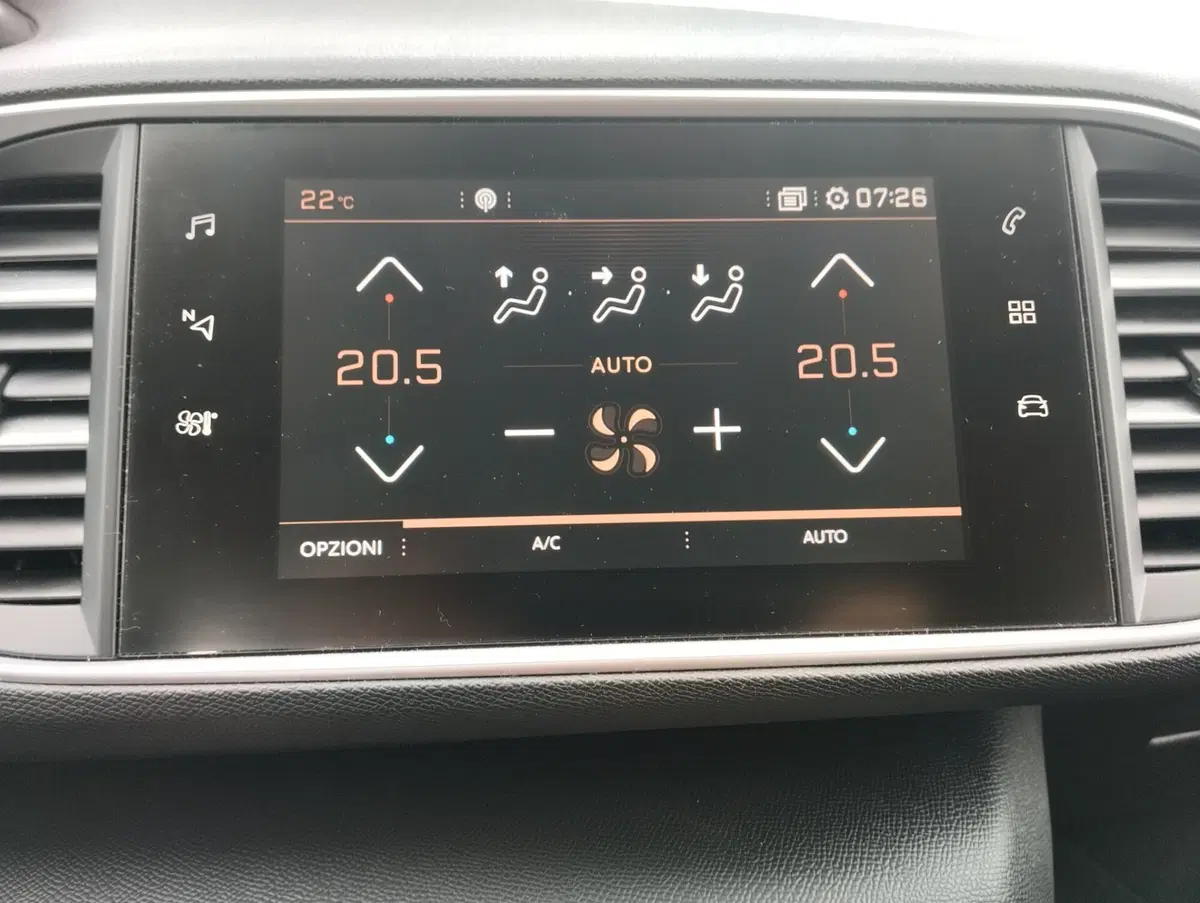Peugeot 308 SW usata a Asti (17)