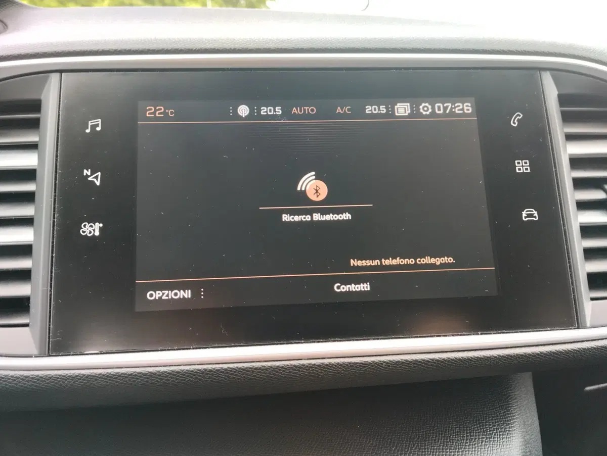 Peugeot 308 SW usata a Asti (19)