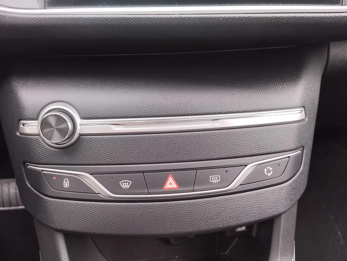 Peugeot 308 SW usata a Asti (20)