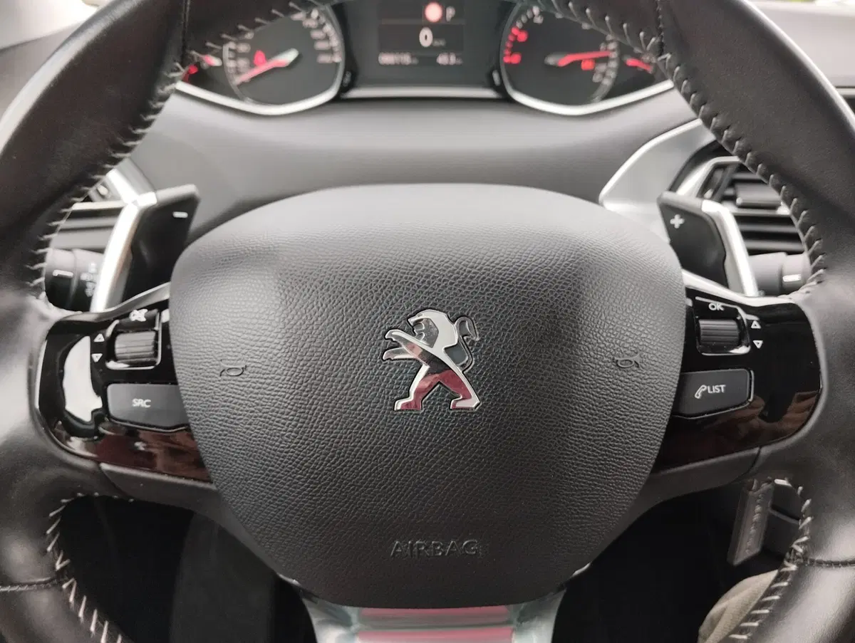 Peugeot 308 SW usata a Asti (9)