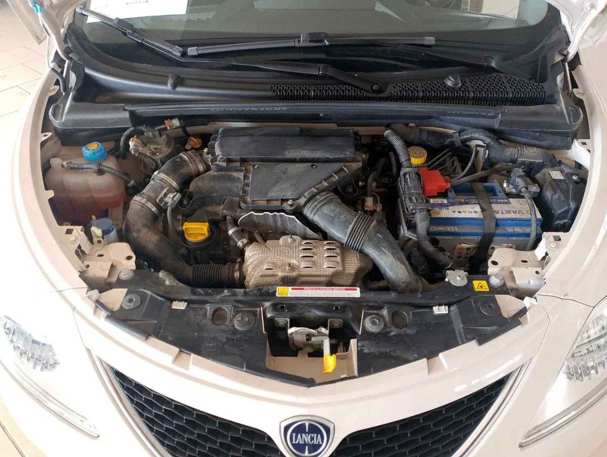 Lancia Ypsilon usata a Lecce (13)