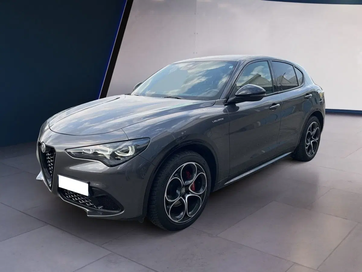 Alfa Romeo Stelvio usata a Torino (2)
