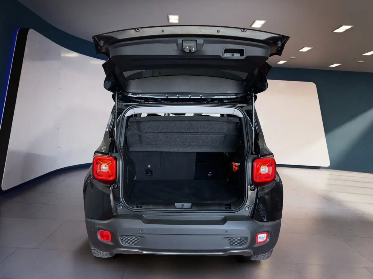 Jeep Renegade usata a Torino (7)