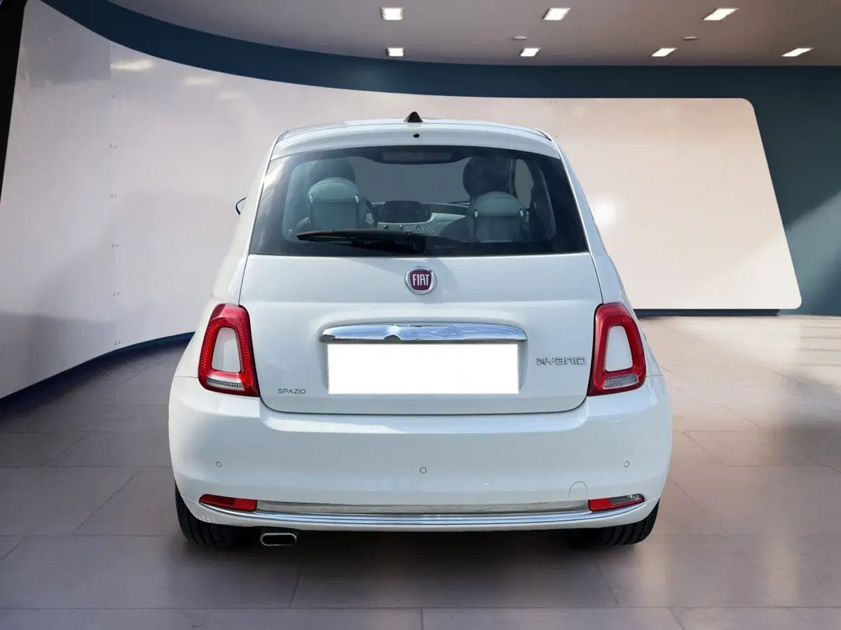 Fiat 500 usata a Torino (5)