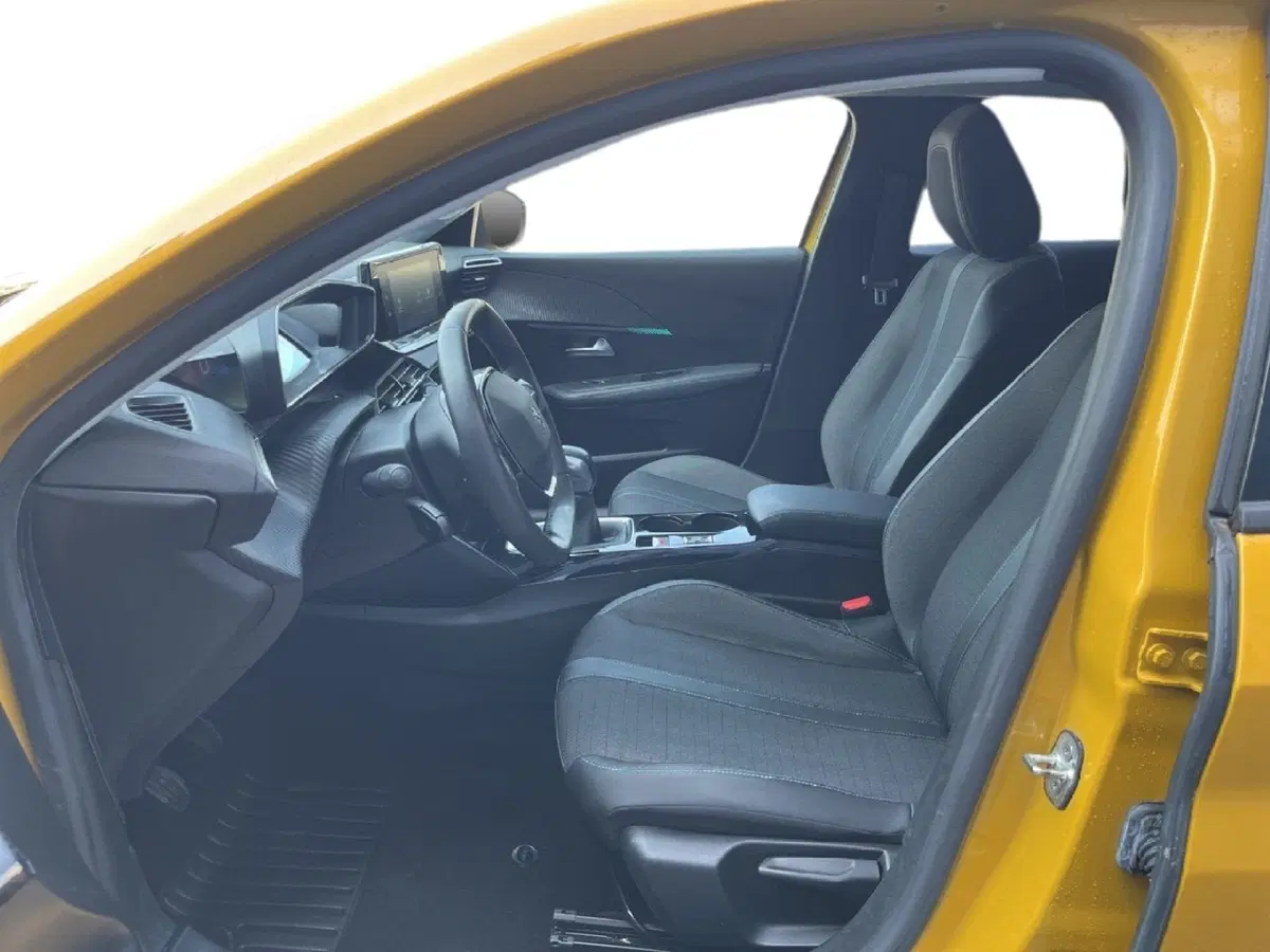 Peugeot 208 usata a Torino (10)