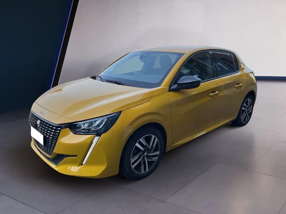 Peugeot 208 usata a Torino (2)