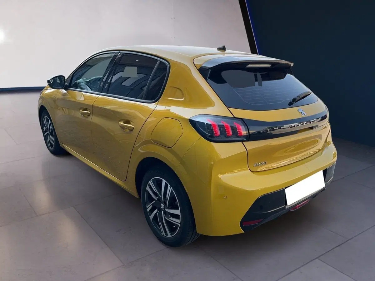 Peugeot 208 usata a Torino (6)