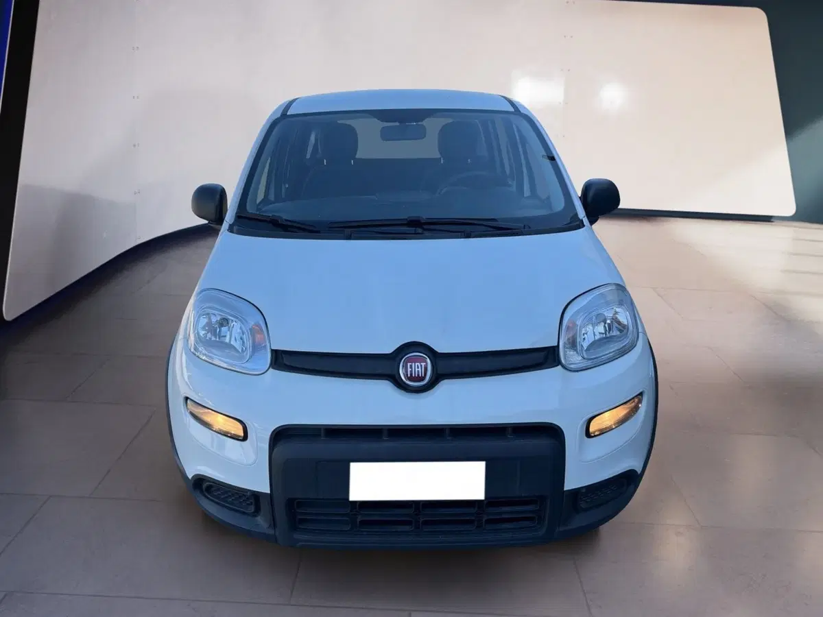 Fiat Panda Cross usata a Torino