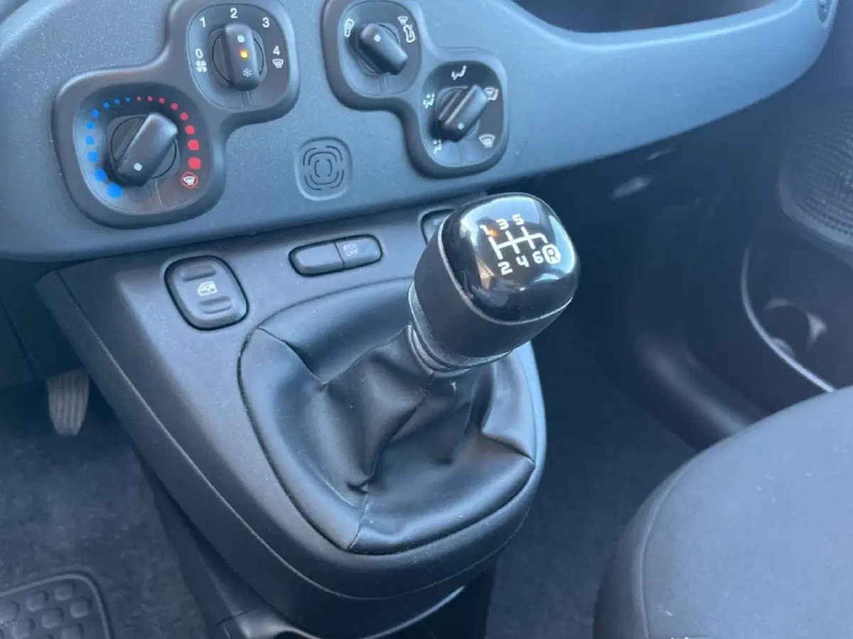 Fiat Panda Cross usata a Torino (11)