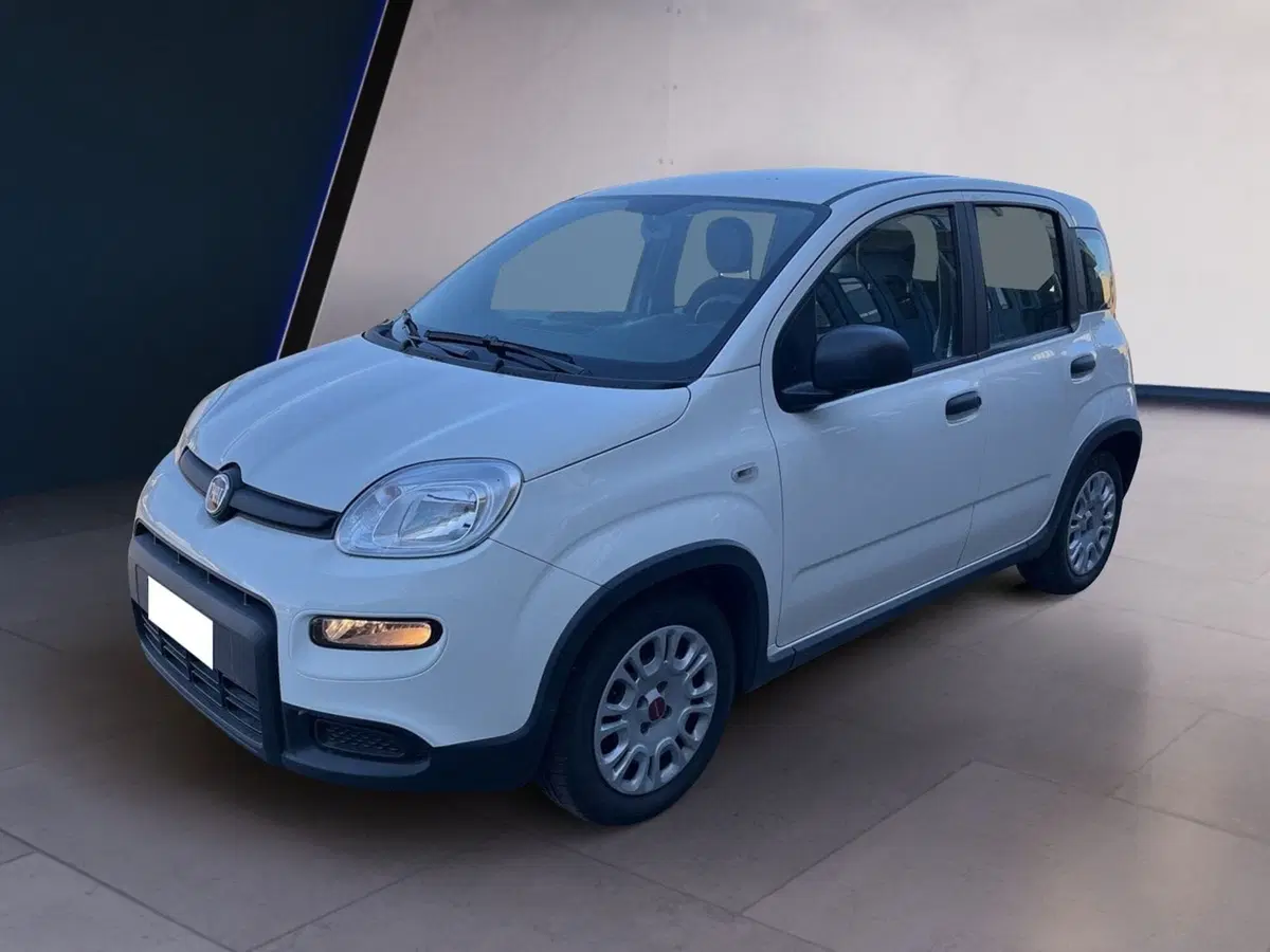 Fiat Panda Cross usata a Torino (2)
