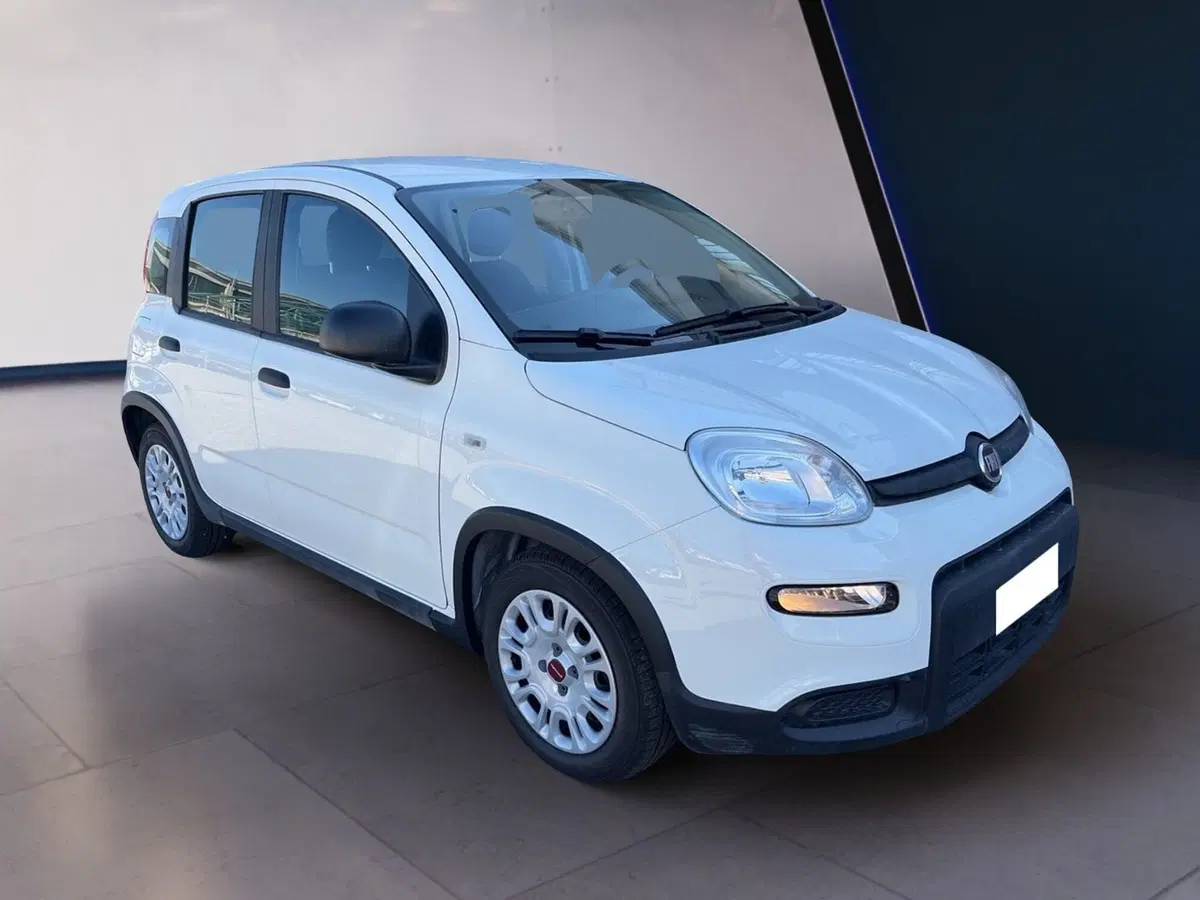 Fiat Panda Cross usata a Torino (3)