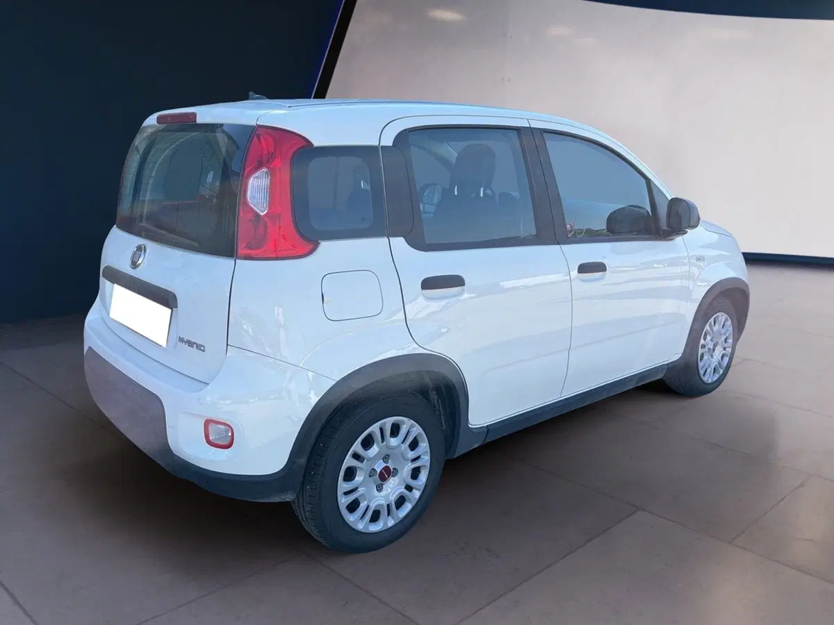 Fiat Panda Cross usata a Torino (4)